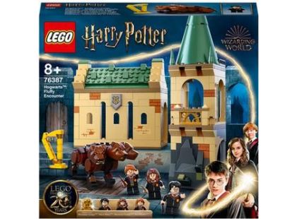 LEGO® Harry Potter™ 76387 Bradavice setkání s Chloupkem