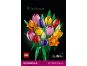LEGO® 11501 Kytice tulipánů 5