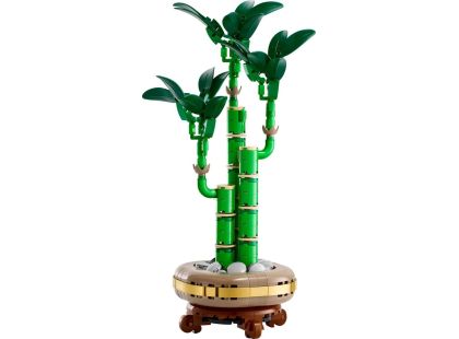 LEGO® Botanicals 10344 Bambus štěstí