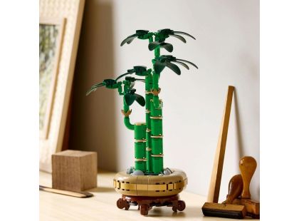 LEGO® Botanicals 10344 Bambus štěstí