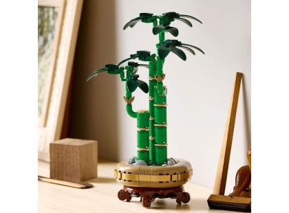 LEGO® Botanicals 10344 Bambus štěstí