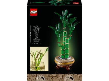 LEGO® Botanicals 10344 Bambus štěstí