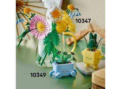 LEGO® Botanicals 10349 Veselé rostlinky