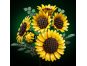 LEGO® Botanicals 11502 Kytice slunečnic 5
