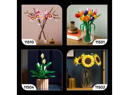 LEGO® Botanicals 11505 Lesní houby