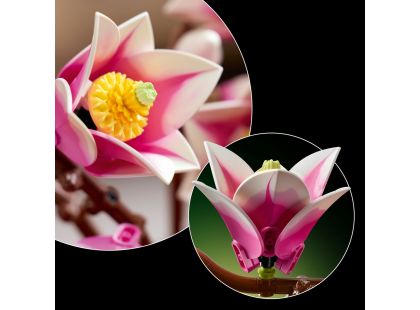 LEGO® Botanicals 11510 Větvičky magnólie