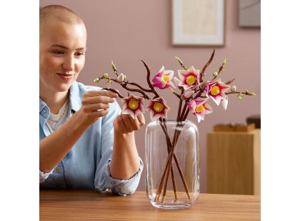 LEGO® Botanicals 11510 Větvičky magnólie