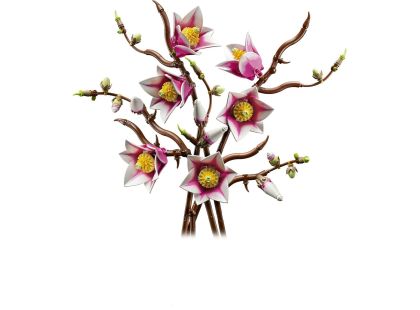 LEGO® Botanicals 11510 Větvičky magnólie