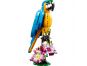 LEGO® Creator 3 v 1 31136 Exotický papoušek 2
