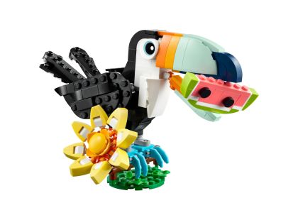 LEGO® Creator 3v1 31173 Divoká zvířata: Tropický tukan
