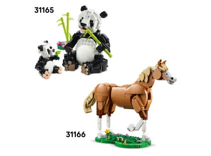LEGO® Creator 3v1 31173 Divoká zvířata: Tropický tukan