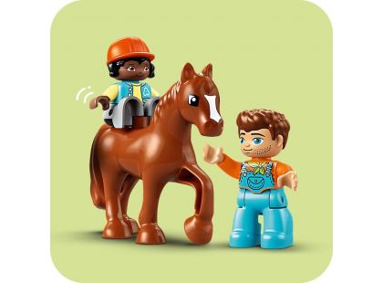 LEGO® DUPLO® 10416 Péče o zvířátka na farmě