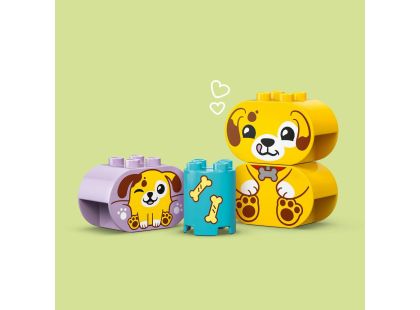 LEGO® DUPLO® 10441 Třídění tvarů: Domeček pro štěňátka