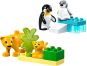 LEGO® DUPLO® 10442 Rodinky divokých zvířat: Tučňáci a lvi 2