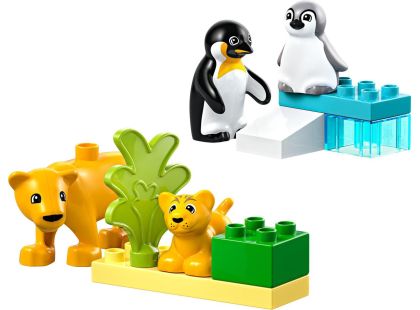 LEGO® DUPLO® 10442 Rodinky divokých zvířat: Tučňáci a lvi