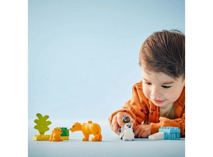 LEGO® DUPLO® 10442 Rodinky divokých zvířat: Tučňáci a lvi