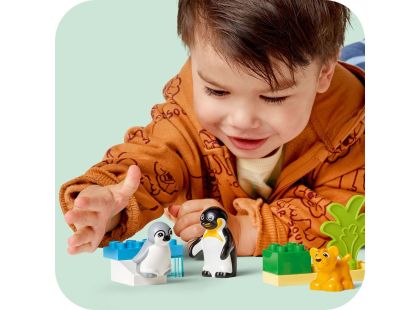 LEGO® DUPLO® 10442 Rodinky divokých zvířat: Tučňáci a lvi