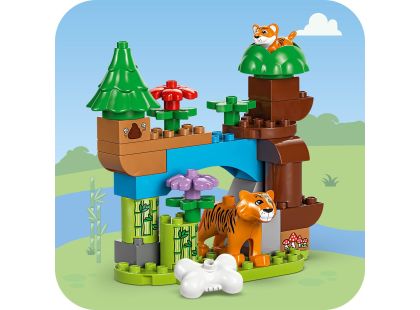 LEGO® DUPLO® 10446 Rodinky divokých zvířat 3 v 1