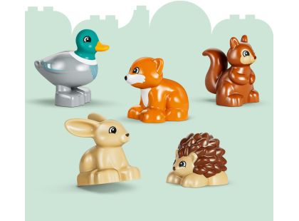 LEGO® DUPLO® 10480 Les plný objevů a divokých zvířátek