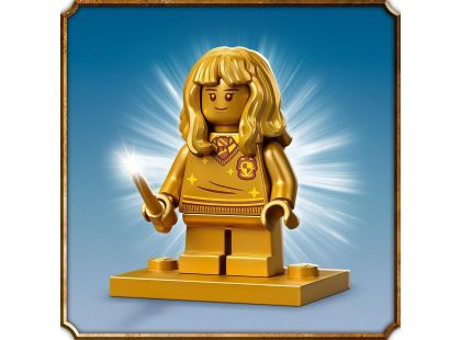 LEGO® Harry Potter™ 76387 Bradavice setkání s Chloupkem - Poškozený obal