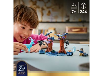 LEGO® Harry Potter™ 76475 Zapovězený les: Expecto Patronum