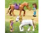 LEGO® Disney Princess ™ 43195 Královské stáje Krásky a Lociky 7