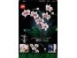 LEGO® ICONS 10311 Orchidej - Poškozený obal 4
