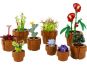 LEGO® ICONS 10329 Miniaturní rostliny 2