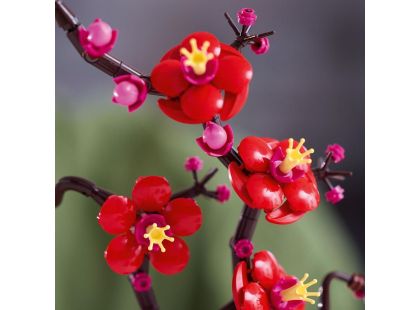 LEGO® Icons 10369 Meruňka japonská