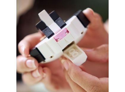 LEGO® Ideas 21349 Černobílá kočka