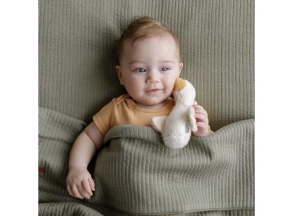 Little Dutch Pískátko Husa