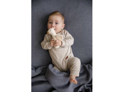 Little Dutch Pískátko Husa