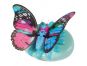 Little Live Pets Motýl - Vzácná křídla 3