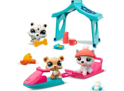 Littlest Pet Shop balení Sněžný den