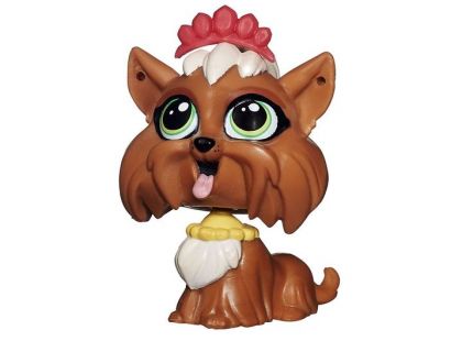 Littlest Pet Shop jednotlivá zvířátka - Terri Bowman
