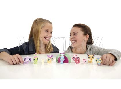 Littlest Pet Shop Velké sběratelské balení zvířete
