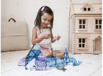 Magna-Tiles Arctic 25 dílků