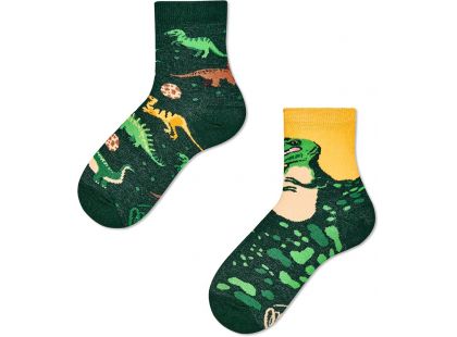 Many Mornings Dětské ponožky The Dinosaurs 27-30