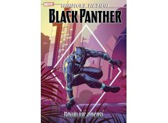 Marvel Action - Black Panther - Bouřlivé počasí