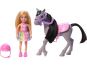 Mattel Barbie Chelsea s poníkem 2