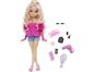Mattel Barbie dream besties panenka Barbie Malibu 2