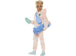 Mattel Barbie dream besties panenka Ken