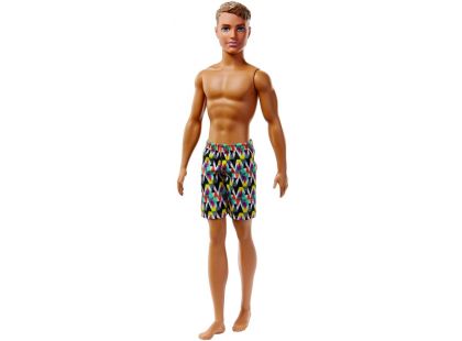 Mattel Barbie Ken v plavkách Plavky kostka