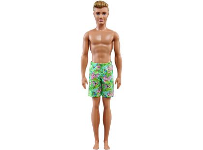Mattel Barbie Ken v plavkách Plavky kytka