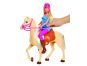 Mattel Barbie panenka s koněm - Poškozený obal 2