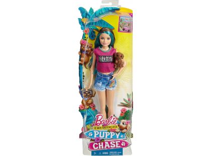 Mattel Barbie sestřičky Skipper