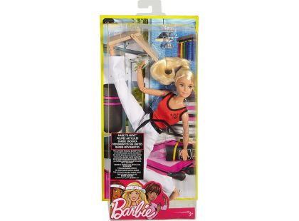 Mattel Barbie sportovkyně Mistryně bojových umění