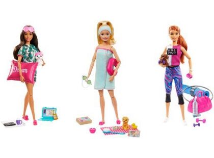 Mattel Barbie wellness panenka zrzavé vlasy