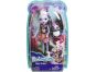 Mattel Enchantimals panenka se zvířátkem Sage Skunk 6