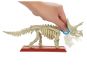Mattel Jurský svět Dino kostry Triceratops 2